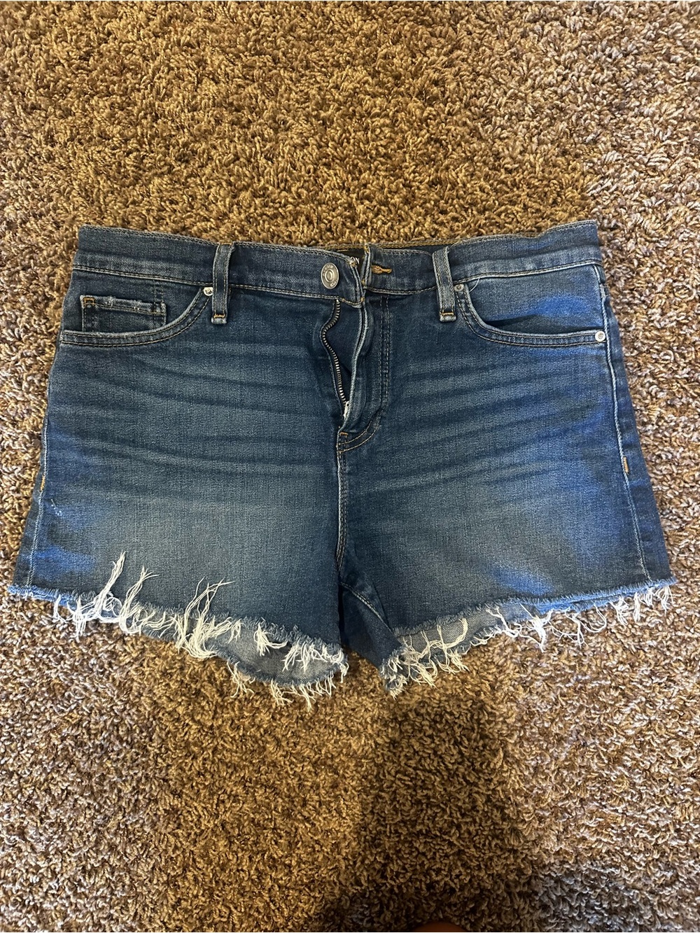 Hudson Jeans Distressed Raw Hem Denim Shorts - Blue